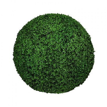 Boxwood Green