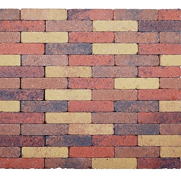 Actionline Melange Coloré 20x5x7 cm. ~