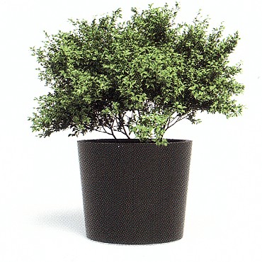 Konische Aluminium plantenbak