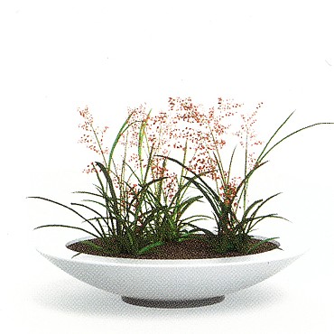 Schaalvormige mat Polyester plantenbak