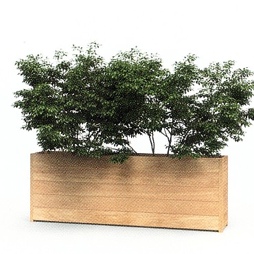 Langwerpige Garapa hardhouten plantenbak