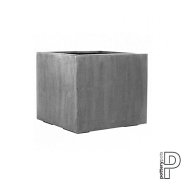 Jumbo Grey