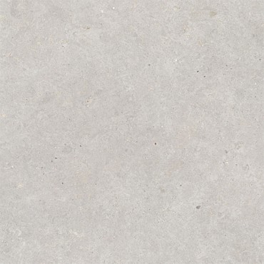 Zaragoza Grey