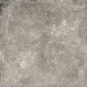 Francisco Grey