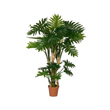 Pottery Pots Philodendron L Green ~