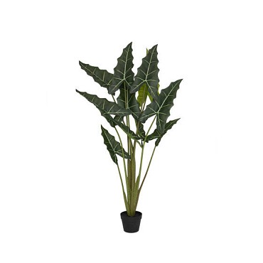 Pottery Pots plantenbak Alocasia Taro S Green ~