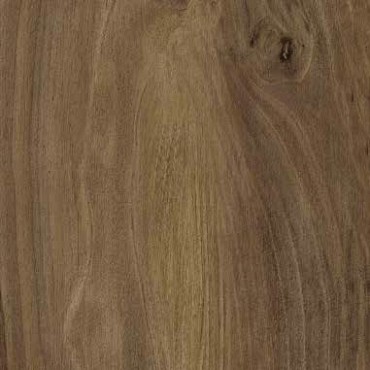 More Ciliego 60x60x2 cm. ~