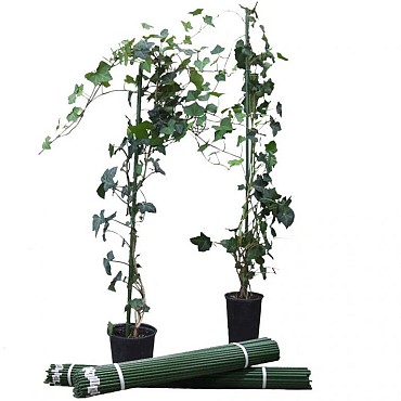 Plantstok ø 20 mm x 240 cm ~