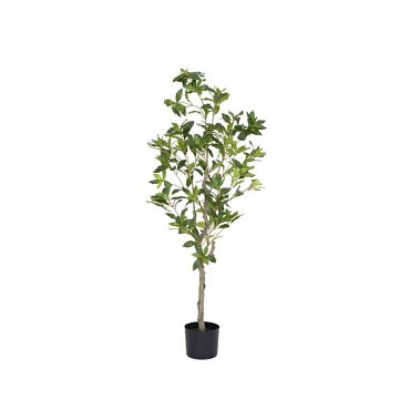 Pottery Pots plantenbak Pieris M Green ~