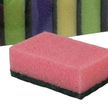 Schuursponzen 10 stuks ~