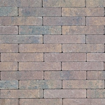 Easy Paving waalformaat XL Helene 25x5x7 cm. ~