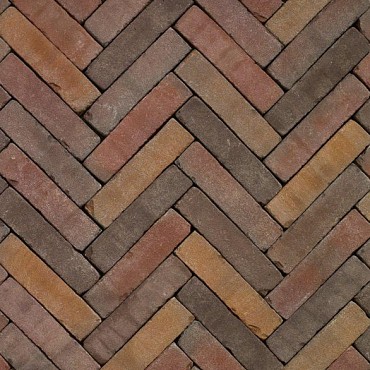 GSB Gebakken waalformaat Hoensbroek 200x50x60 getrommeld ~