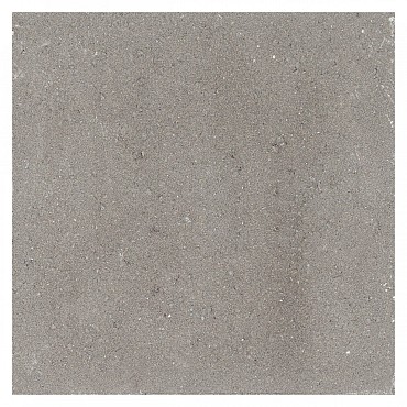Betontegel 50x50x4.5 cm Grijs ~