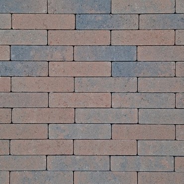 Easy Paving waalformaat Anloo 20x5x6 cm. ~