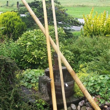 Bamboepalen voor decoratie 4/5x240 cm. ~