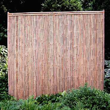 Bamboescherm recht 180x180 cm. ~