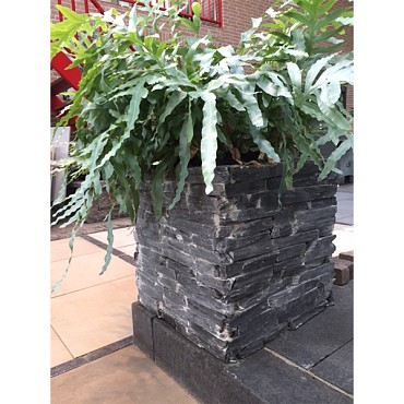 Supreme Slate bloembak 50x50x50 cm. recht ~