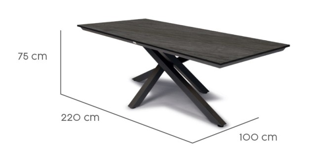 Omnigo Dining Table 220x100x75 cm Charcoal ~