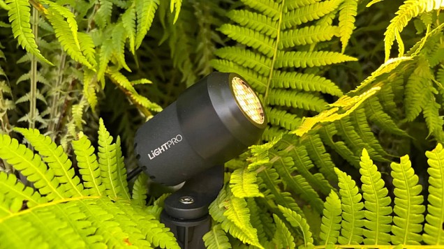 LightPro - Juno Honeycomb ~