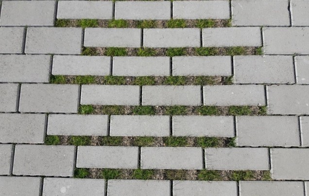 Greenstone Grasbetontegel 25x12,5x10 cm. 2/2 Grijs ~