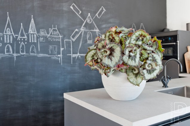 Pottery Pots plantenbak Abby S Horizontal Ridged Cement hoogte: 20 diameter: 23~