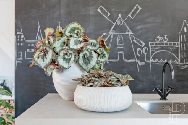 Pottery Pots plantenbak Abby S Horizontal Ridged Cement hoogte: 20 diameter: 23~