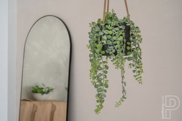 Pottery Pots plantenbak Patt S (hanging) Black Washed ø13.5x11 cm ~