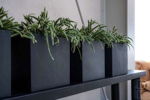 Pottery Pots plantenbak Fleur L Black hoogte: 25 diameter: 25~