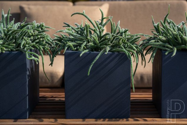 Pottery Pots plantenbak Fleur L Black hoogte: 25 diameter: 25~