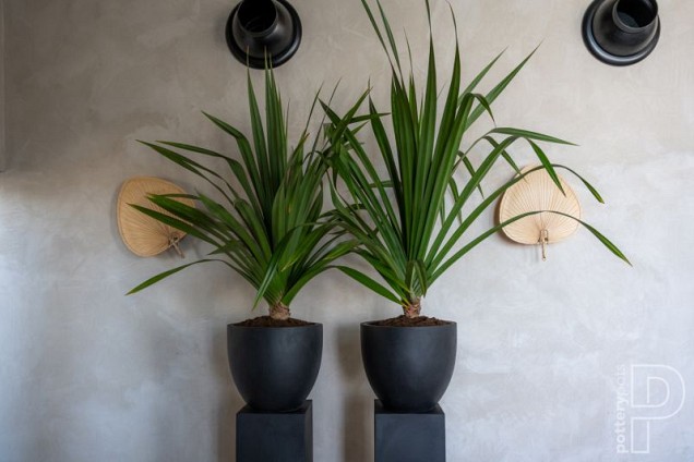 Pottery Pots plantenbak Jesslyn S Black hoogte: 44 diameter: 50~