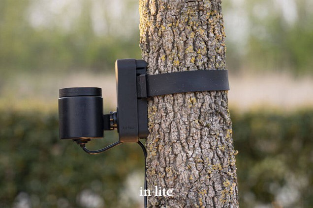 In-Lite Brace ~