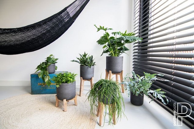 Pottery Pots plantenbak Charlie XS Black Washed hoogte: 115 diameter: 12~