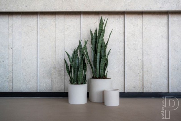 Pottery Pots kunstplant Sansevieria M Green ~