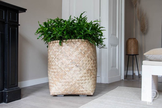 Pottery Pots plantenbak Zayn XXXS Bamboo ø31.5x33 cm ~