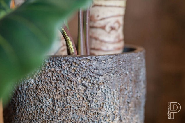 Pottery Pots plantenbak Dax XXL Imperial Brown ø46x118 cm ~