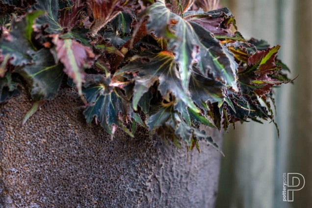 Pottery Pots plantenbak Jesslyn XS Imperial Brown ø42x36 cm ~