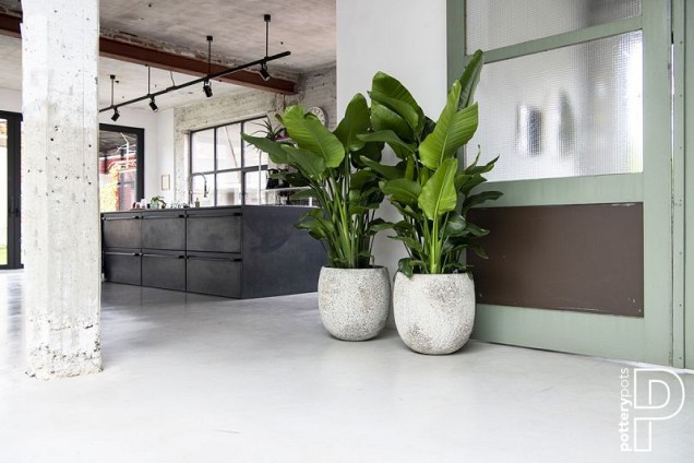 Pottery Pots plantenbak Gillard S Imperial White ø45x45 cm ~