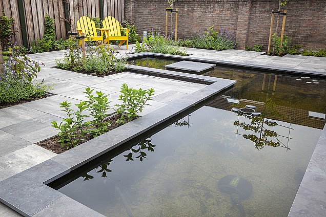 Spotted Bluestone 100x20x3cm (Vijverrand) ~