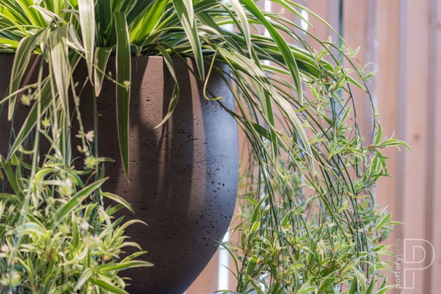 Pottery Pots plantenbak Orb M, Black Washed ø48x43 cm ~