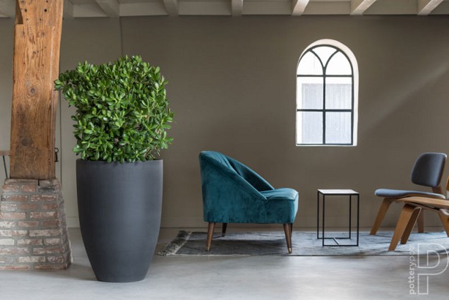 Pottery Pots plantenbak Ben L Black hoogte: 55 diameter: 40~