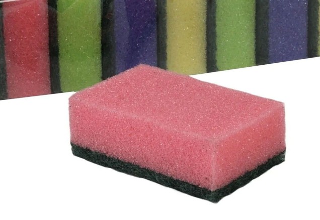 Schuursponzen 10 stuks ~