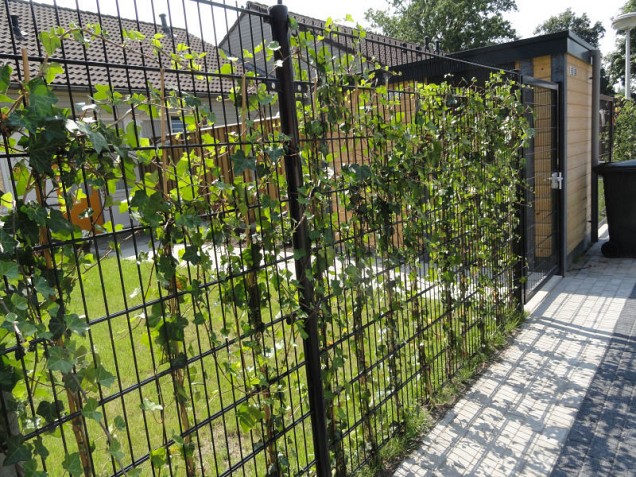 Hillfence metalen scherm, dubbele staafmat, 250x183 cm. zwart ~