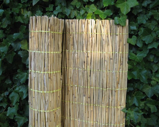 Rietmat Tisza 50X200 ~