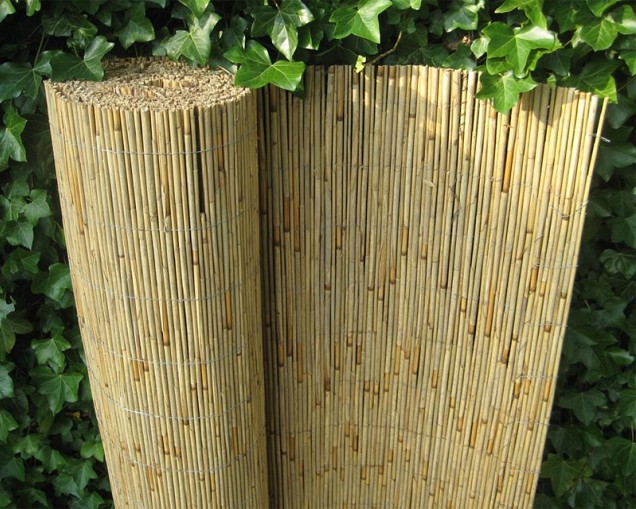 Rietmat Ferto 60x600 cm. ~