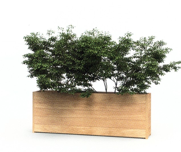 Langwerpige Garapa hardhouten plantenbak