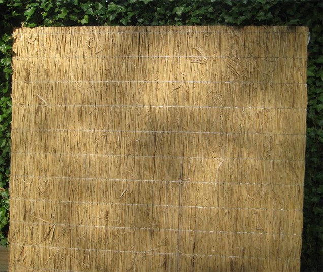 Rietplaat Nagy 50X200 ~