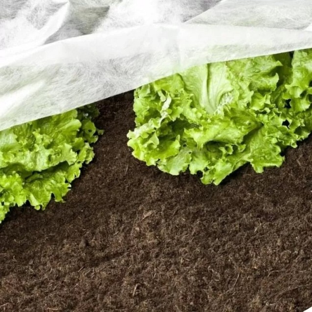 Afdekvlies 10x2 30 gram ~