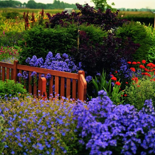 Keruing Premium massief hek 21 90x180 cm. ~