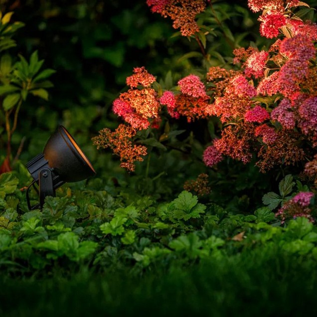 GardenLights - Raf ~