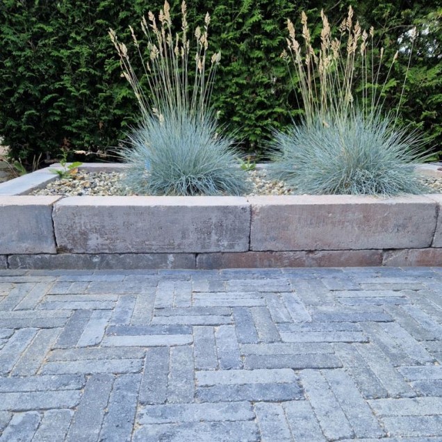 Muurblok Cressida getrommeld 60x15x15 cm. ~